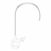 Ear Wire with Ring